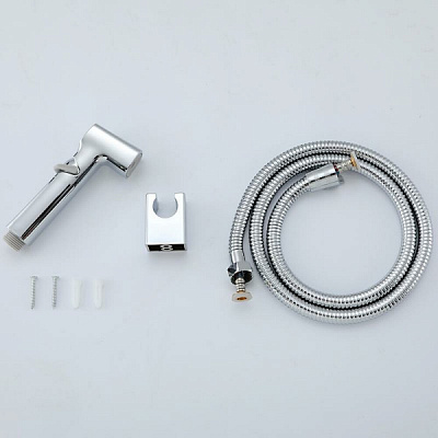 Набор гигиеническая лейка со шлангом 120см, кронштейн цвет хром Frap F022