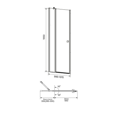 Душевая дверь распашная Iddis Ray RAY6CP0i69 1000х1950
