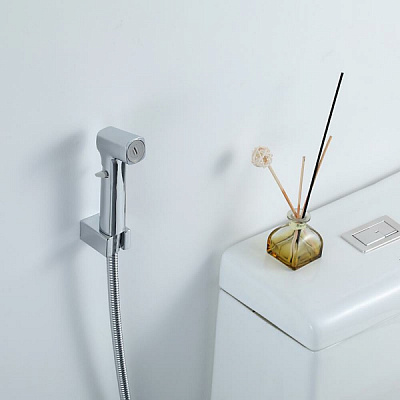 Набор гигиеническая лейка со шлангом 120см, кронштейн цвет хром Frap F022