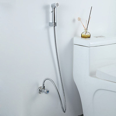 Набор гигиеническая лейка со шлангом 120см, кронштейн цвет хром Frap F022