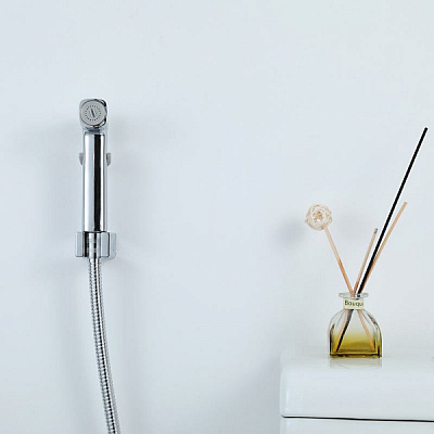 Набор гигиеническая лейка со шлангом 120см, кронштейн цвет хром Frap F022