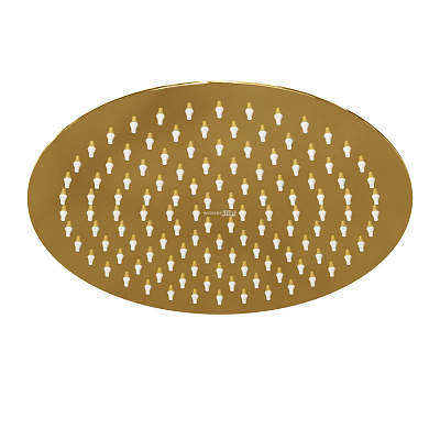 WK Душевая насадка   Sauer A208 d248мм , PVD-покрытие "глянцевое золото"