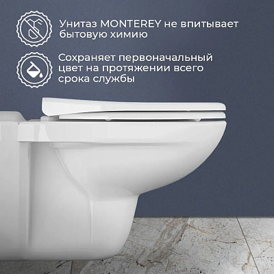 Унитаз подвесной безободковый Monterey Eco 7855N003-7146 сиденье дюропласт