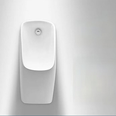 Писсуар подвесной RGW SW-91 345*310*700 белый 80450291-01