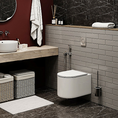 Унитаз подвесной с микролифтом Cerutti SPA Tanaro Aria CT8910