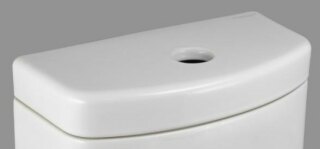 Крышка к смывному бачку Sanita Luxe Fest LDFestNWHTGS1