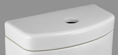 Крышка к смывному бачку Sanita Luxe Fest LDFestNWHTGS1