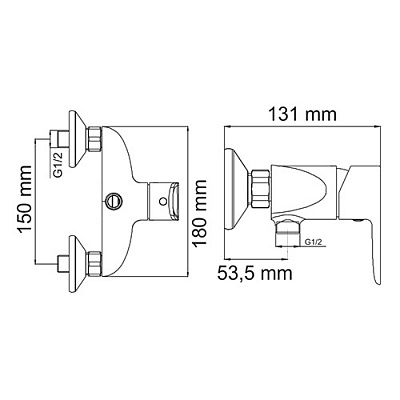 Смеситель для душа WasserKRAFT AMMER 3702