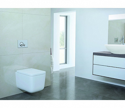 Клавиша смыва механическая Globe, OLI 152950