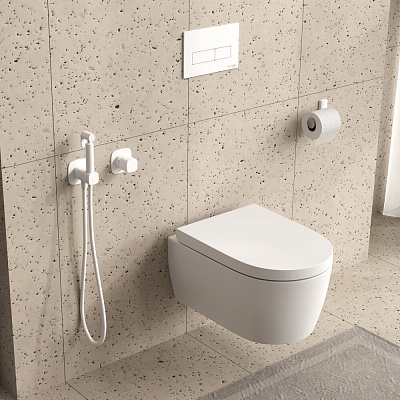 Встраиваемый комплект для биде со шлангом WasserKraft A9551.328.243.232