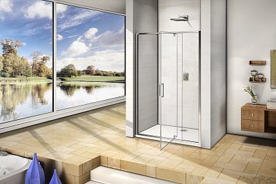 Душевая дверь Good Door Orion WTW-PD-120-С-СH ОР00020
