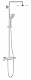 Душевая система Grohe Euphoria System 210 с термостатом