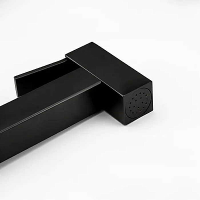 Смеситель встраиваемый с гигиеническим душем Gappo G7207-60