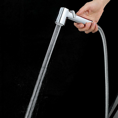 Набор гигиеническая лейка со шлангом 120см, кронштейн цвет хром Frap F022