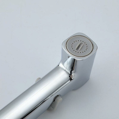 Набор гигиеническая лейка со шлангом 120см, кронштейн цвет хром Frap F022