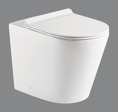 Унитаз приставной безободковый P-trap Belbagno FLAY-R BB1003CBR