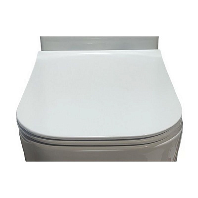 Сиденье унитаза CHIKA Ctrutti SPA CT8891 дюропласт с микролифтом и креплениями
