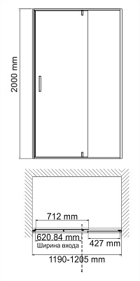 Neime 19P05 Душевая   дверь 1200*2000