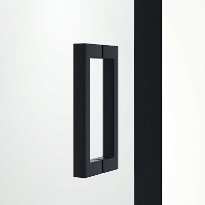 Душевая дверь 120х195 RGW PA-016B