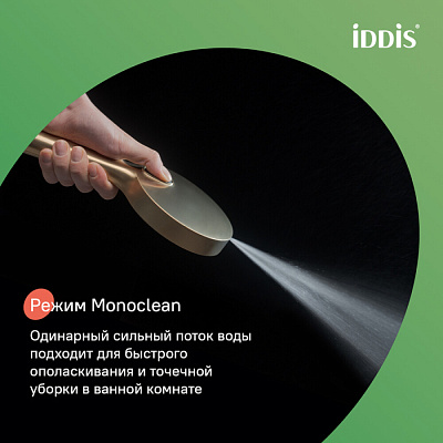 Лейка для душа, золото матовое, Iddis Aiger, AIG4FMGi18