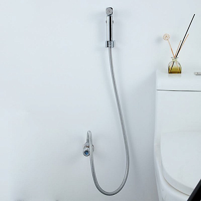 Набор гигиеническая лейка со шлангом 120см, кронштейн цвет хром Frap F022