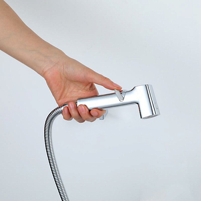 Набор гигиеническая лейка со шлангом 120см, кронштейн цвет хром Frap F022