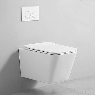 Унитаз подвесной MONTEREY ZT-015 сиденье и крепеж в комплекте