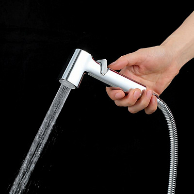 Набор гигиеническая лейка со шлангом 120см, кронштейн цвет хром Frap F022