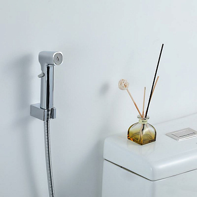 Набор гигиеническая лейка со шлангом 120см, кронштейн цвет хром Frap F022