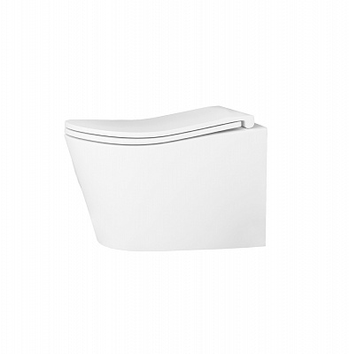 Унитаз подвесной безободковый торнадо D&K Bamberg DT1556516 микролифт