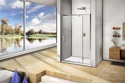 Душевая дверь Good Door Orion WTW-PD-120-С-СH ОР00020